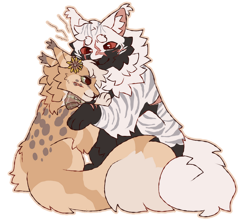 Fullbodies for fhirdiad